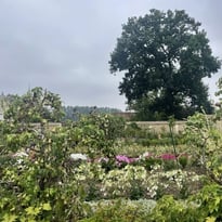 Promenade découverte des collections de fleurs, fruitiers, légumes du Potager des Etournelles et de son parc. Visite de la grange du 17ème