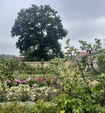 Promenade découverte des collections de fleurs, fruitiers, légumes du Potager des Etournelles et de son parc. Visite de la grange du 17ème