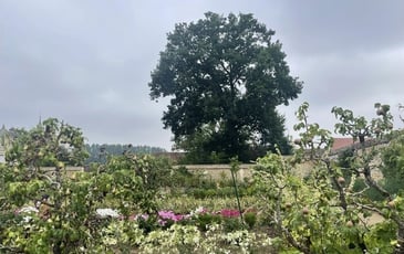 Promenade découverte des collections de fleurs, fruitiers, légumes du Potager des Etournelles et de son parc. Visite de la grange du 17ème