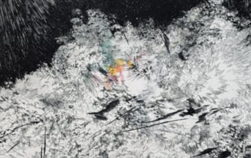 Vestige • exposition collective