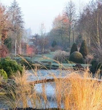 Visite  du jardin autour d'un Moulin à eau du XIXe siècle