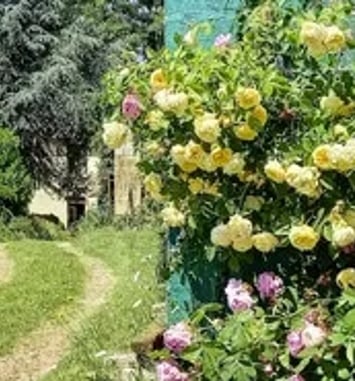 Portes ouvertes et rétrospective
