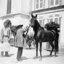 Exposition, Rosa Bonheur et le cheval