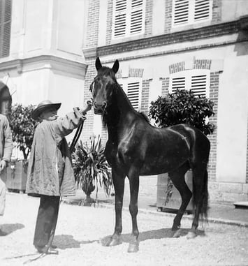 Exposition, Rosa Bonheur et le cheval