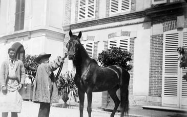 Exposition, Rosa Bonheur et le cheval
