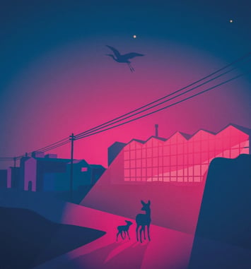 Habiter les nuits