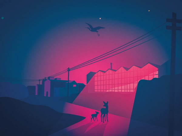 Habiter les nuits